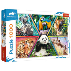 Trefl - 1000 Piece Puzzle - Animal Kingdom - Puzzles Age +14 - TRF10672