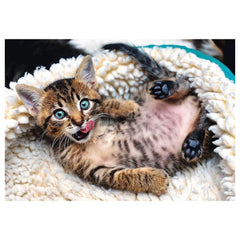 Trefl - Cheerful Kitten - Puzzles - +14 - TRF10448