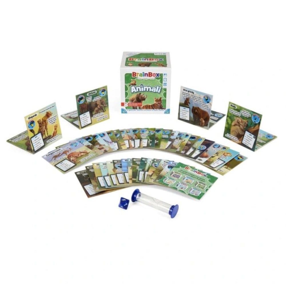 Board game set with cards and a cylindrical component on a white background