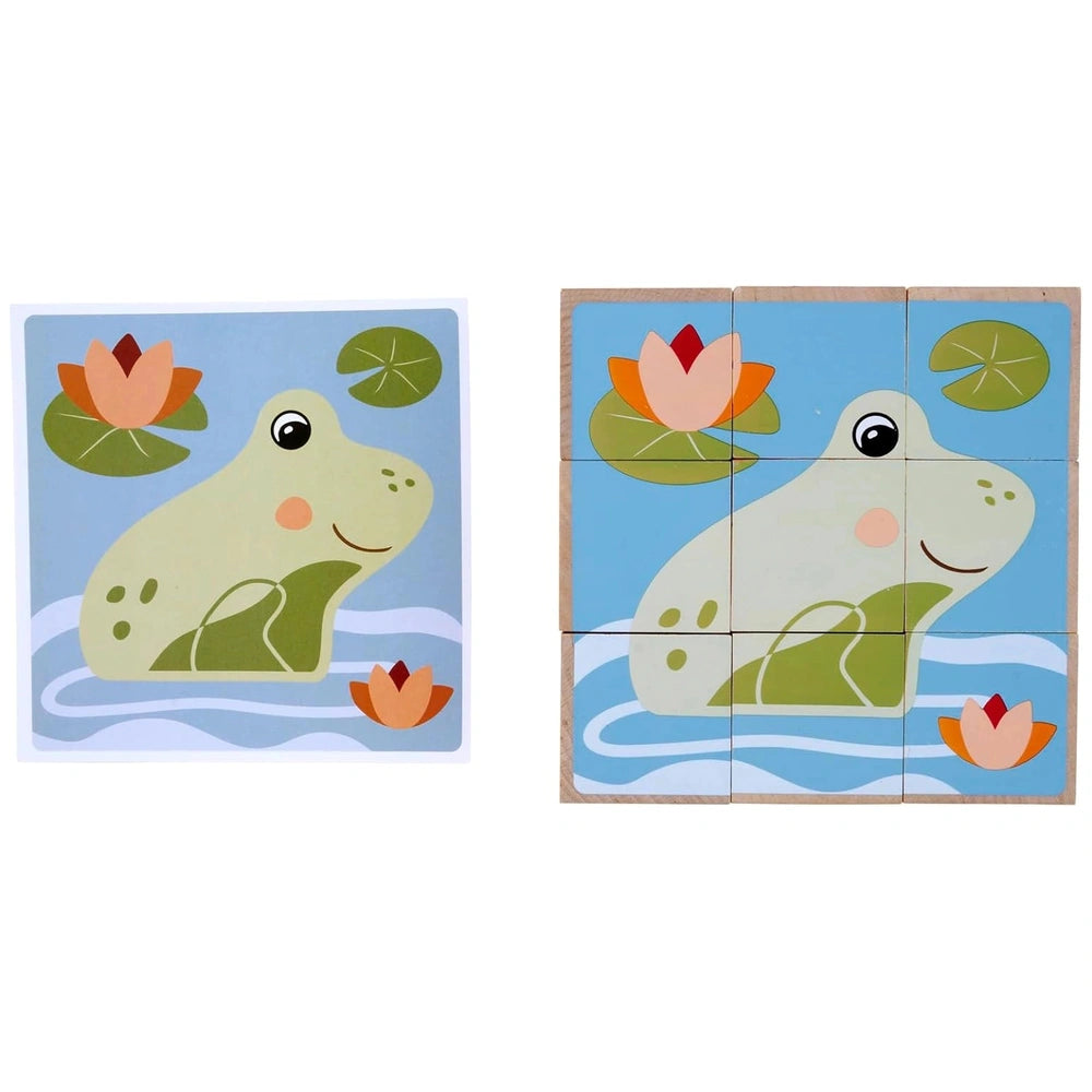 Eichhorn cubes feature vibrant illustrations of a smiling frog in a colorful pond with lily pads and flowers.