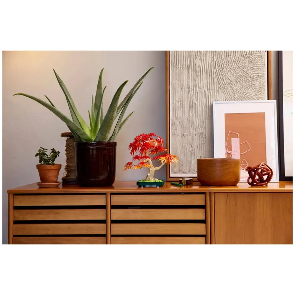 A beautifully arranged shelf displaying a LEGO® Botanicals Japanese Red Maple Bonsai Tree with vibrant red and orange leaves, alongside an aloe vera plant in a dark pot, a small green plant in a terracotta pot, an art print, and decorative wooden bowls.