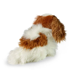 Rappa - Plüsch King Charles Spaniel - Plüschtiere - +0 - RAP - ECO - HUND - 25 - 69520304