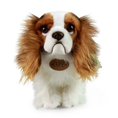 Rappa - Plüsch King Charles Spaniel - Plüschtiere - +0 - RAP - ECO - HUND - 25 - 69520304