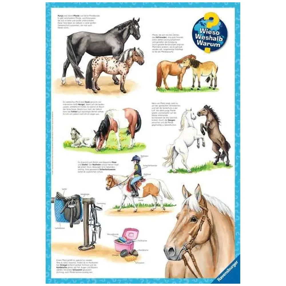 Ravensburger puzzle features colorful illustrations of horses in various poses set against stables and riding arenas.