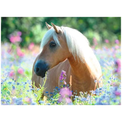 Ravensburger - Pferd im Blumenmeer - 300 Teile - Puzzles