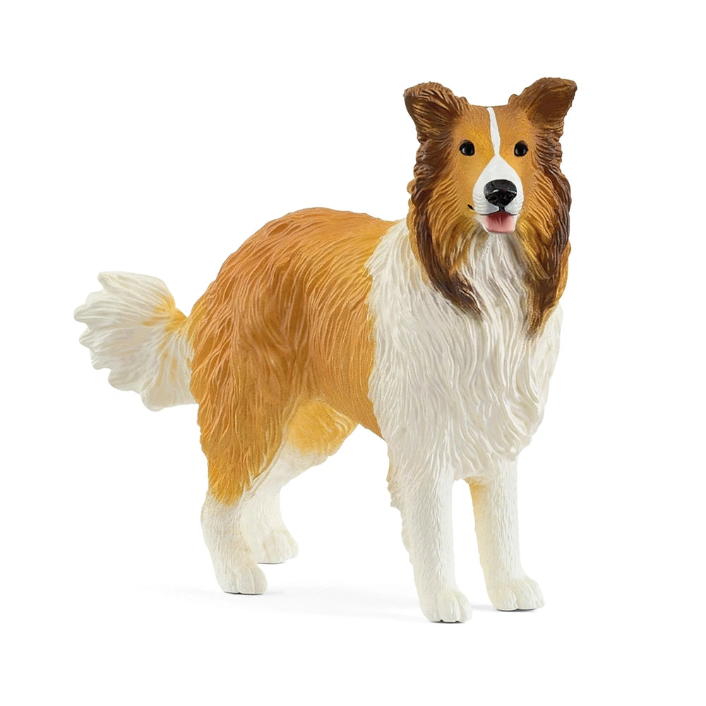 Schleich - Farm World - Collie - Action & Toy Figures - 13998