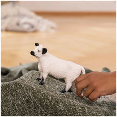 Schleich - Farm World - Galloway Cow - Action & Toy Figures - 13960