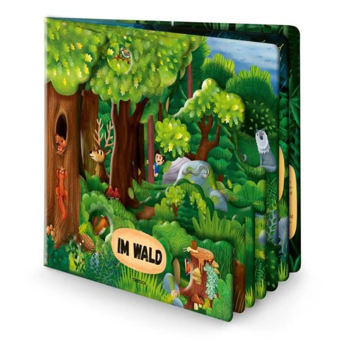 TROTSCH - Explorer Book In the Forest Books - German Edition