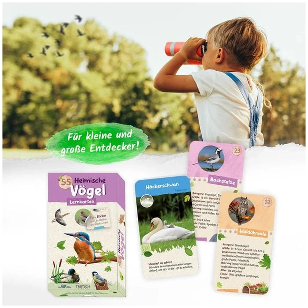 TROTSCH Learning Cards Native Birds German Edition features a child outdoors using binoculars to observe birds among trees.