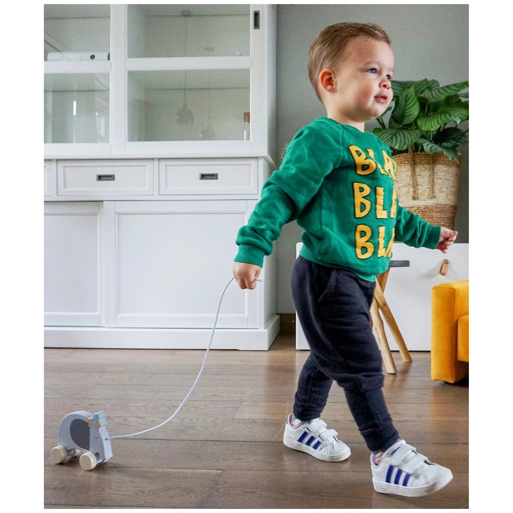 TRYCO wooden elephant pull along toy beside a child in a green sweatshirt and white sneakers on a wooden floor.